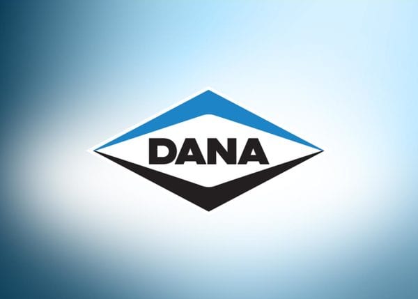 达娜公司Logo