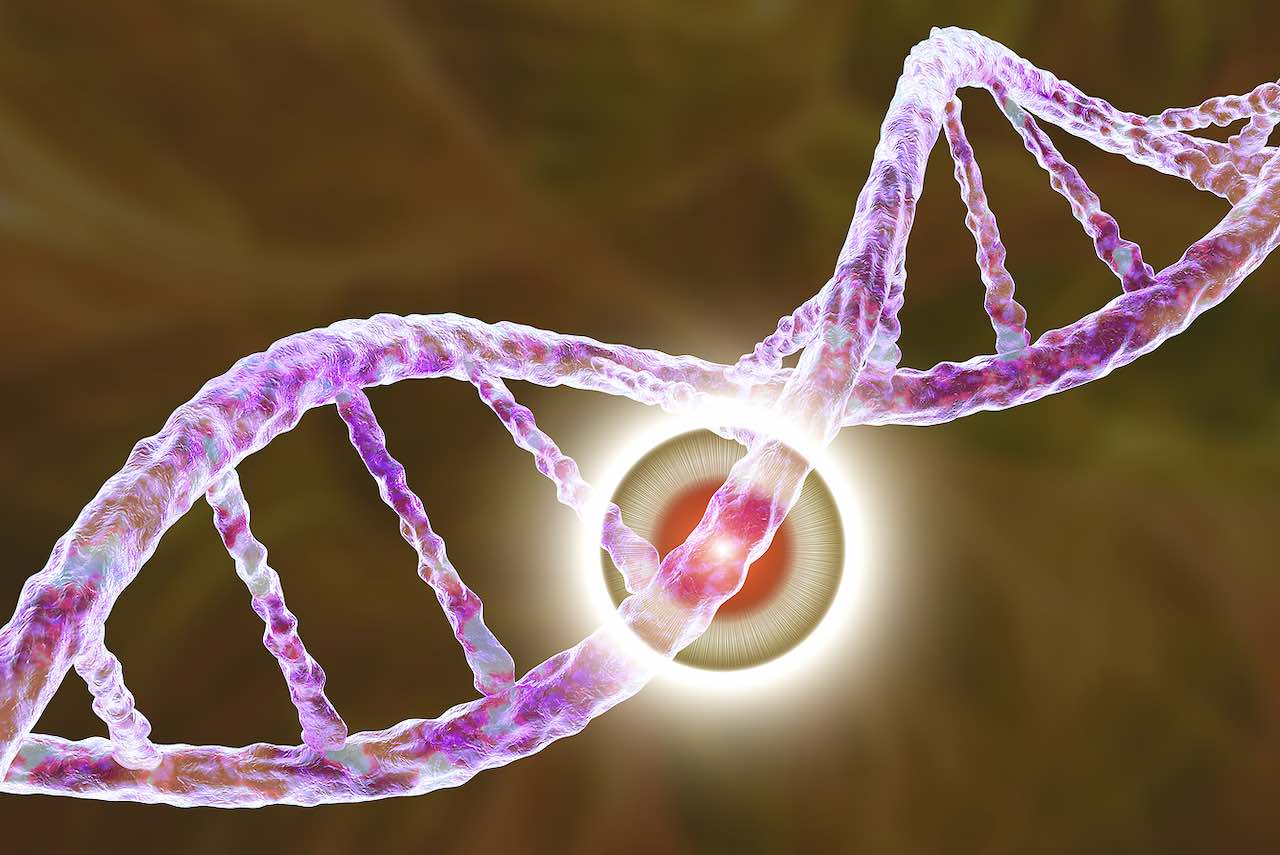 研究发现基因突变可能预示间皮瘤的风险万博专业版